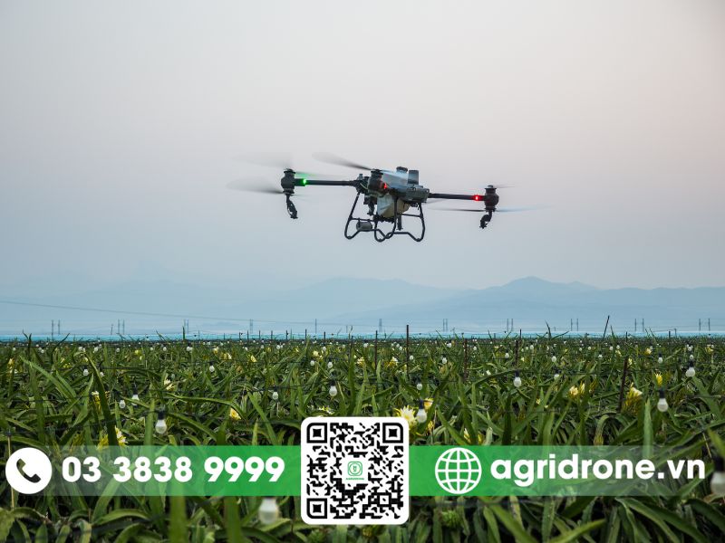 Các phương pháp phun thuốc trừ sâu cho cây thanh long 2 Phun thuốc trừ sâu cho cây thanh long bằng máy bay nông nghiệp