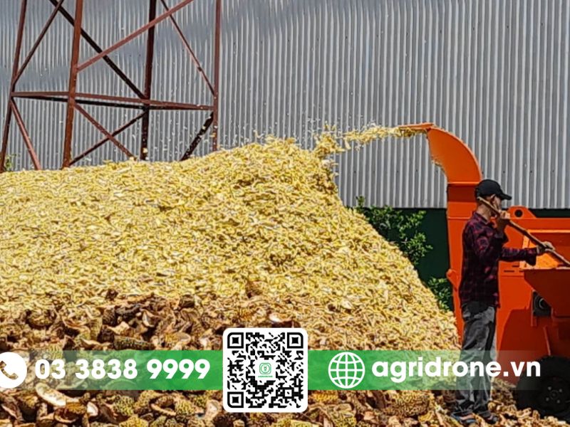 Ứng dụng thực tiễn của vỏ sầu riêng trong nông nghiệp