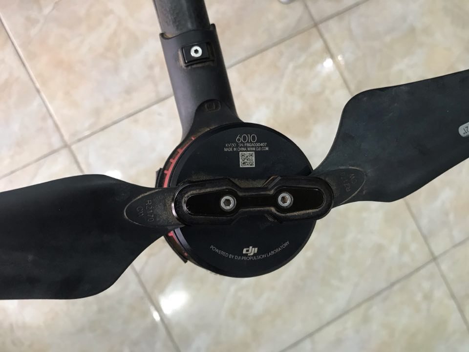 100073697 295071408176052 2097719914935615488 n 1 rotated