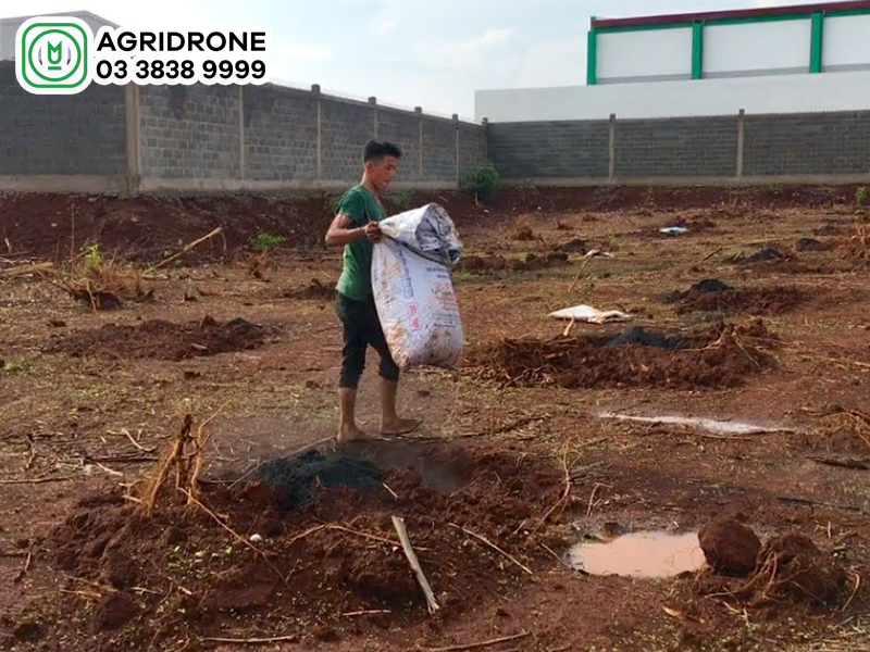 Quy trình bón phân lót: Kỹ thuật, loại phân, liều lượng