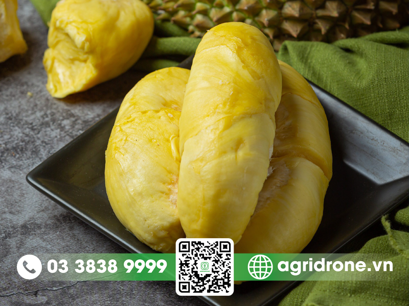sau rieng monthong gia bao nhieu 2