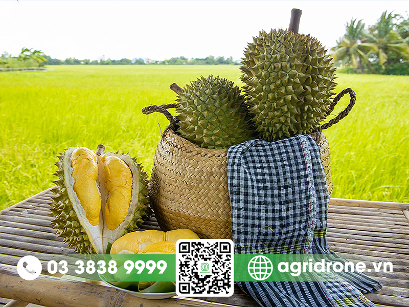 1kg-sau-rieng-duoc-bao-nhieu-com-2