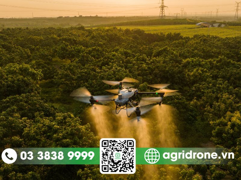 Các phương pháp bón phân cho bưởi luôn khỏe và trĩu quả 4 Bón phân cho cây bưởi hiệu quả hơn với máy bay nông nghiệp AgriDrone