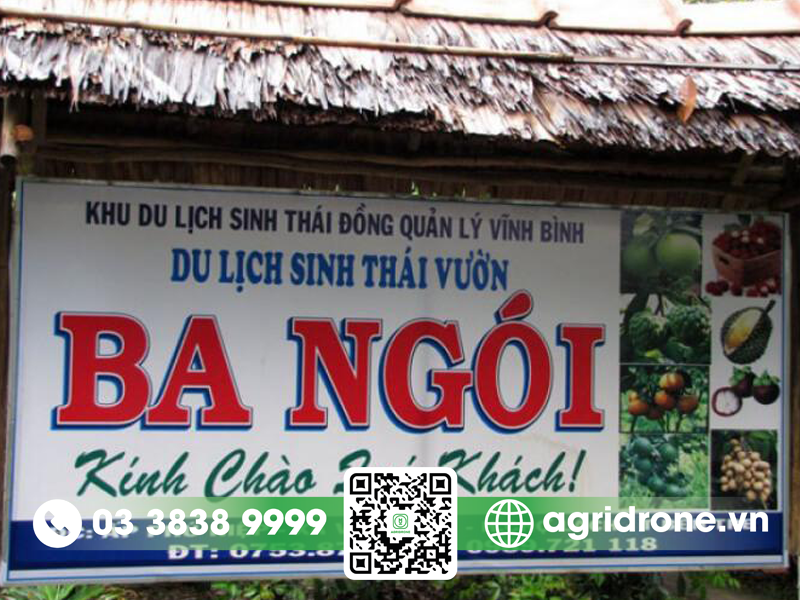vuon sau rieng Ben Tre 3