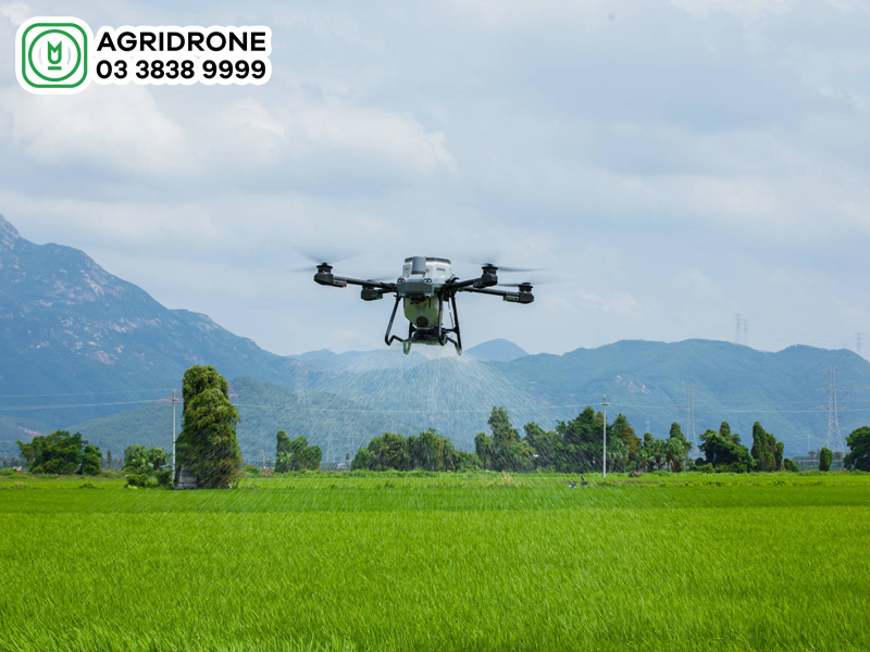 tu van may bay phun thuoc sa lua rai phan dji t25 3