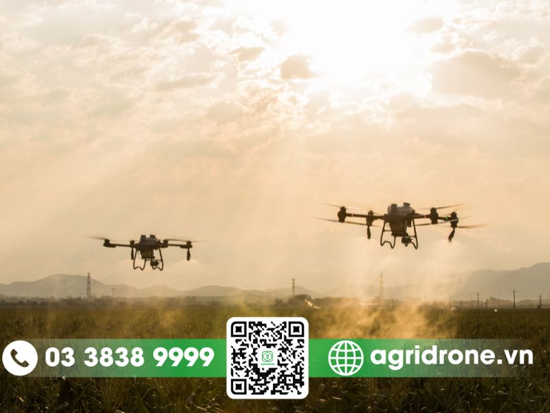 Kỹ thuật trồng cà chua vụ hè thu mang lại năng suất cao 3 Ứng dụng drone trong trồng cà chua vụ hè thu
