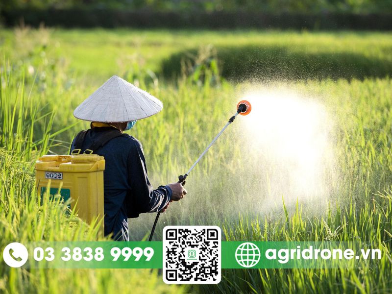 Bình phun thuốc trừ sâu thủ công (Bình phun tay)