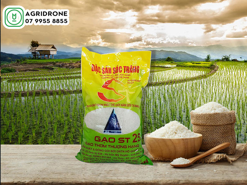 Giống lúa Việt Nam ngon nhất thế giới