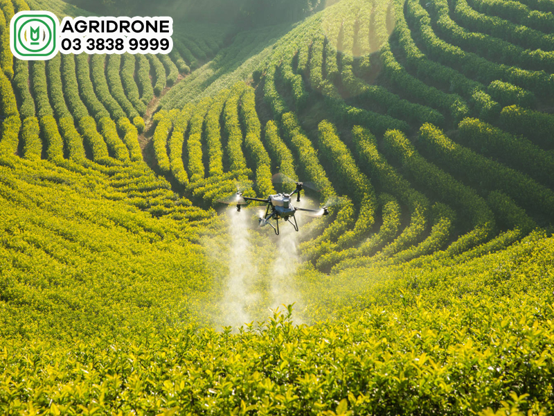 huong dan su dung may bay phun xit thuoc dji t25 3