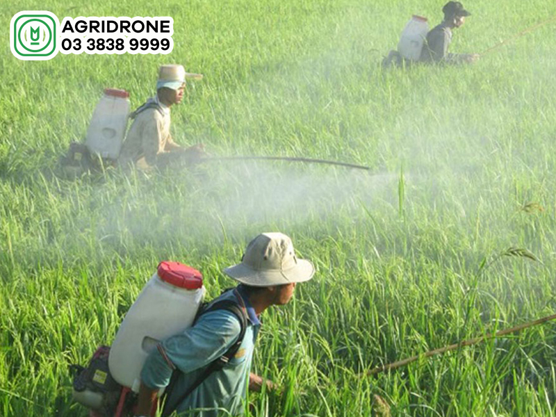 Giá máy phun thuốc trừ sâu chạy xăng