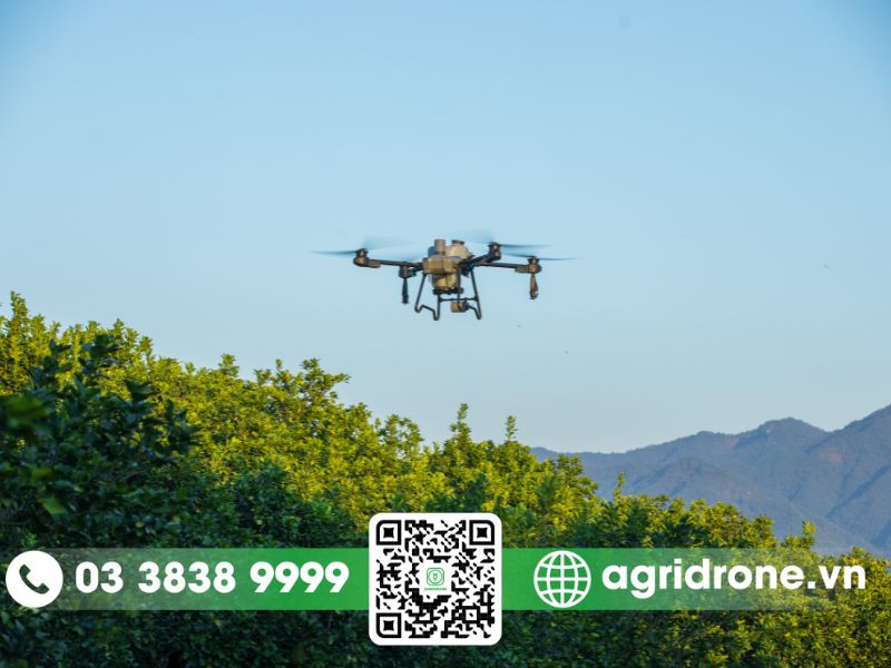 5 phương pháp bón phân cho chôm chôm tăng năng suất, trái to đều 3 Bón bằng máy bay nông nghiệp cho chôm chôm