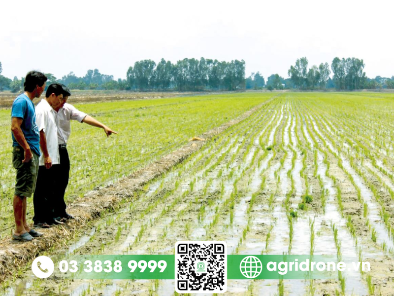 Chủ động, thích ứng tốt với điều kiện không thuận lợi