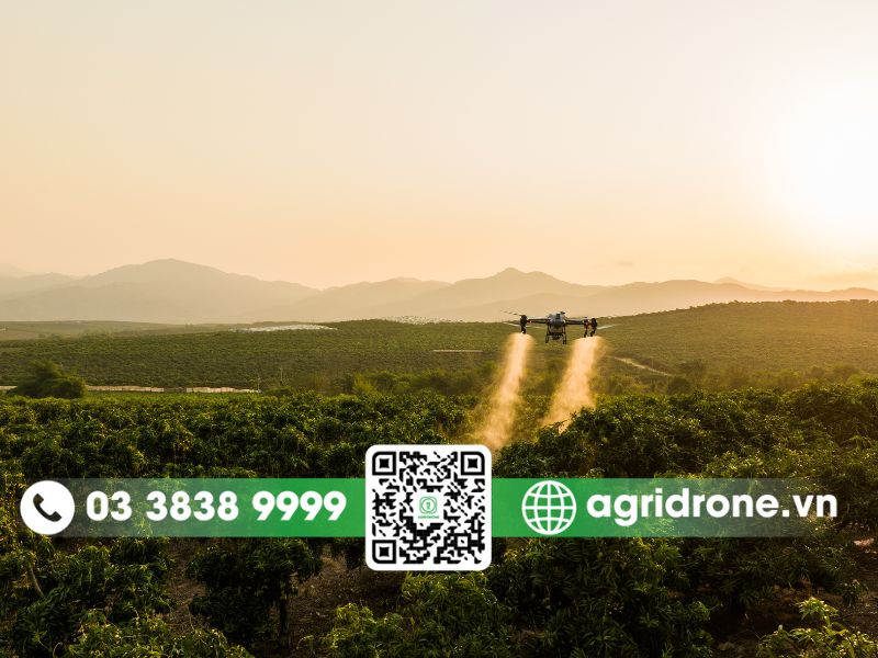 Phun thuốc trừ sâu bằng máy bay nông nghiệp