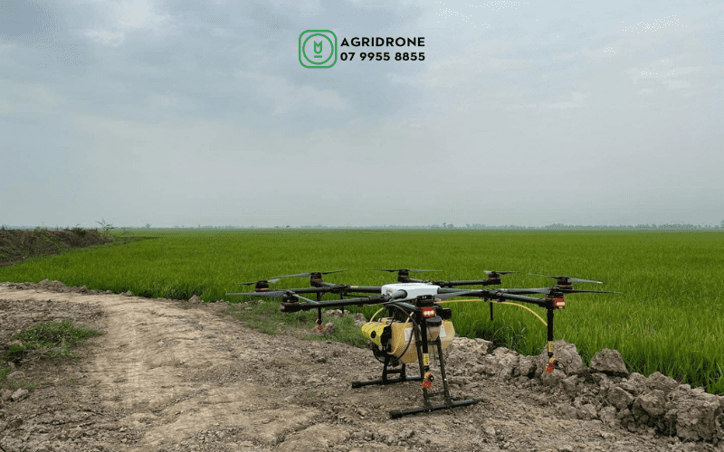 Khi máy bay không người lái “gặp” nông nghiệp truyền thống