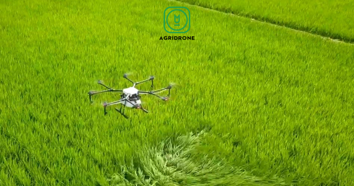 Giá của máy bay phun thuốc trừ sâu bao nhiêu?