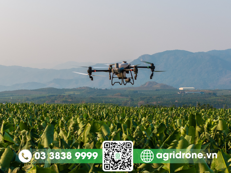 Máy bay không người lái điều khiển từ xa khảo sát sức khỏe cây trồng DJI Agras T40
