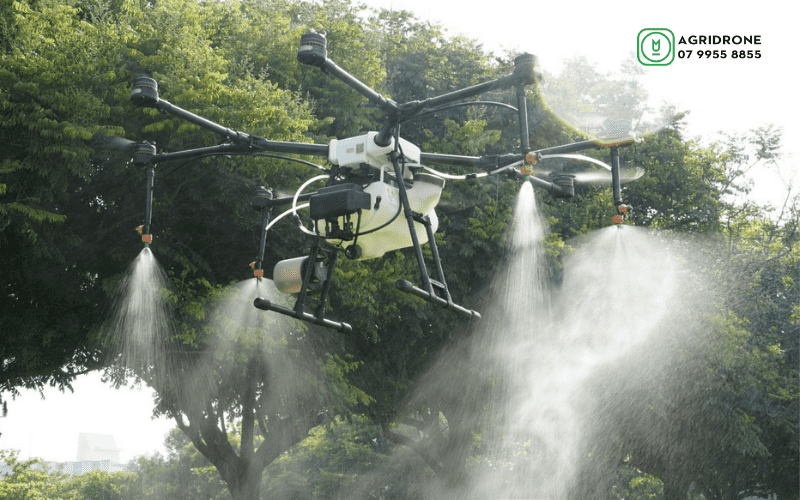 Giống lúa BC15 mới kháng đạo ôn hiệu quả 4 May-bay-phun-thuoc-nong-nghiep-DJI-Agras-MG-1P