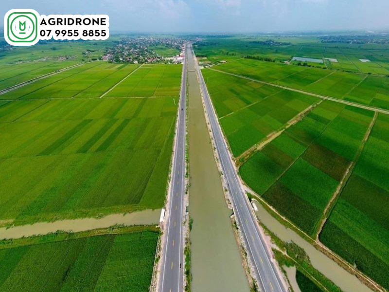 Ứng dụng công nghệ cao vào sản xuất nông nghiệp tại Hải Phòng