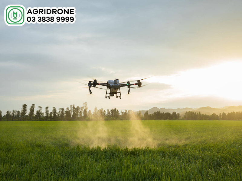 dji t50
