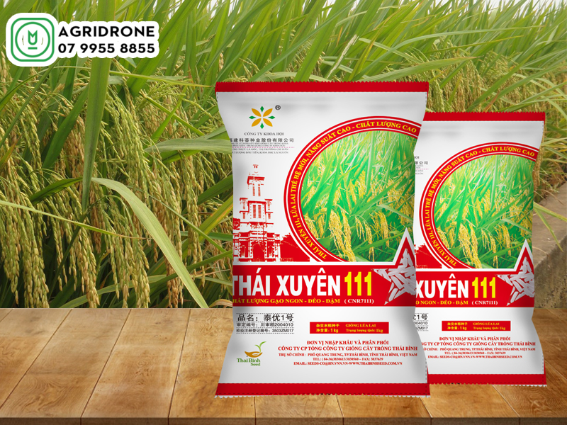 Giống lúa thái xuyên 111 đặc điểm giống & kỹ thuật canh tác