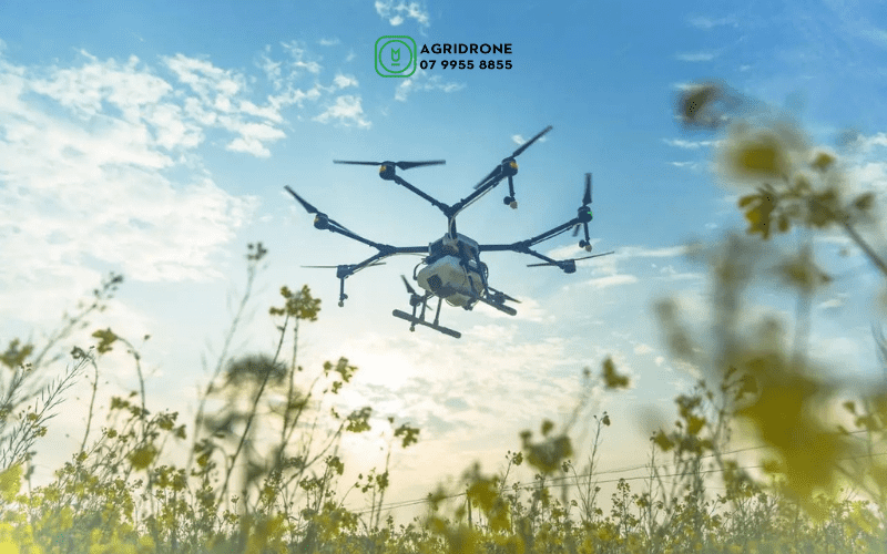 Nguyễn Văn Thiên Vũ, CEO AgriDrone Việt Nam: “Thị trường máy bay nông nghiệp lúc đó là quá lớn, thất bại hay không là do mình”. 4 May-bay-phun-thuoc-tru-sau-DJI-Agras-MG-1P