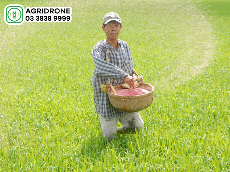 Bón phân Kali có tác dụng gì?