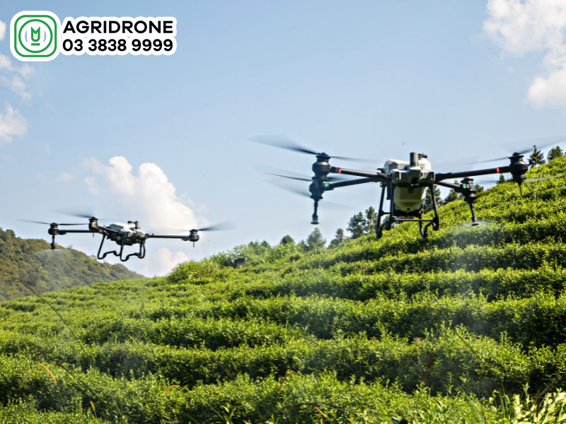 AgriDrone Việt Nam – đơn vị cung cấp dịch vụ máy bay nông nghiệp uy tín