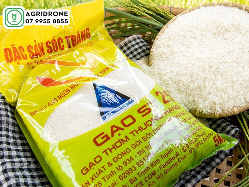 gao ngon nhat the gioi st25 03