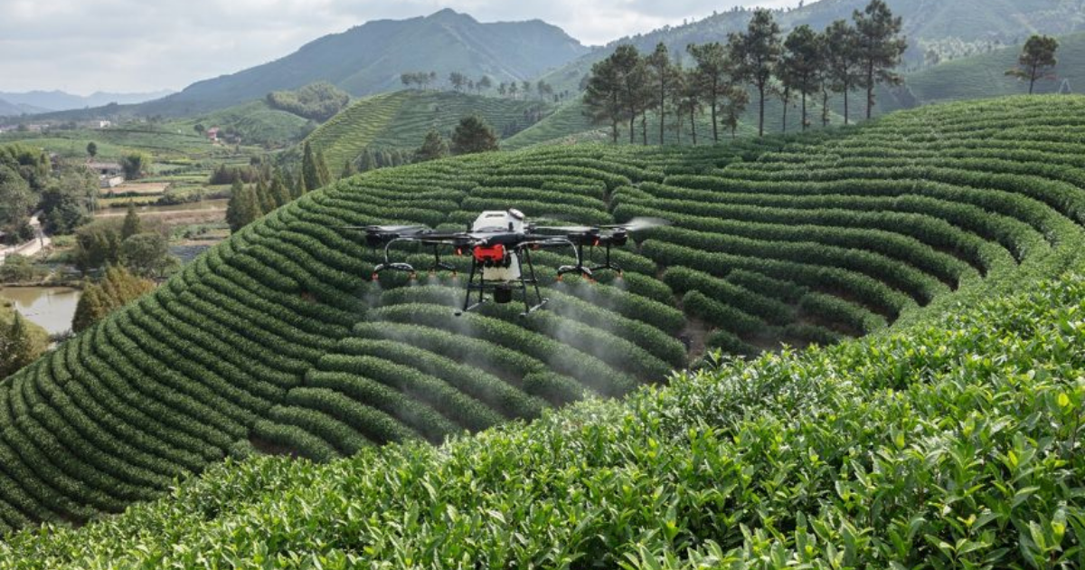 DJI AGRAS T20 giúp việc phun thuốc an toàn và dễ dàng hơn đối với người nông dân