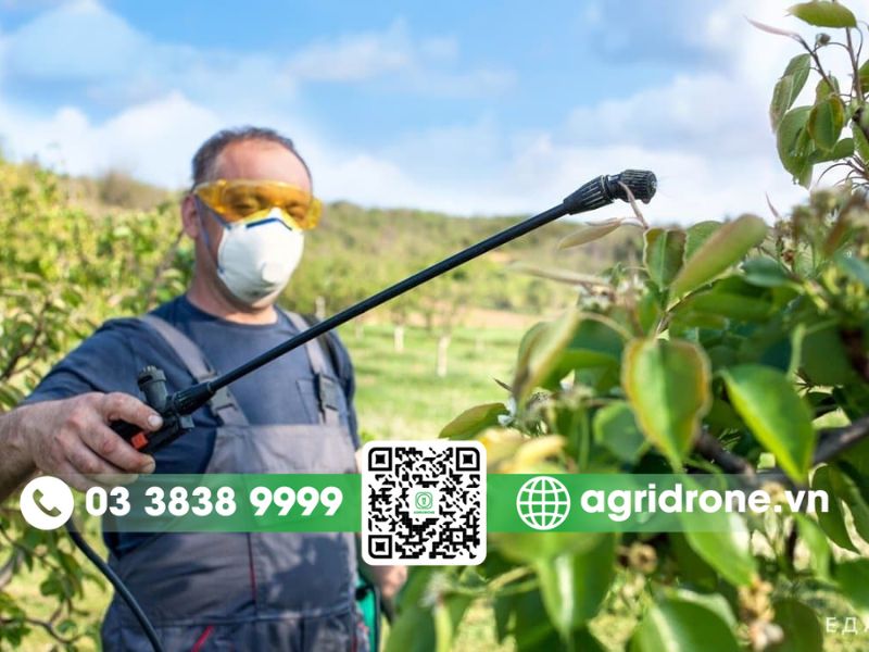 Lưu ý khi phun thuốc trừ sâu cho cây cam