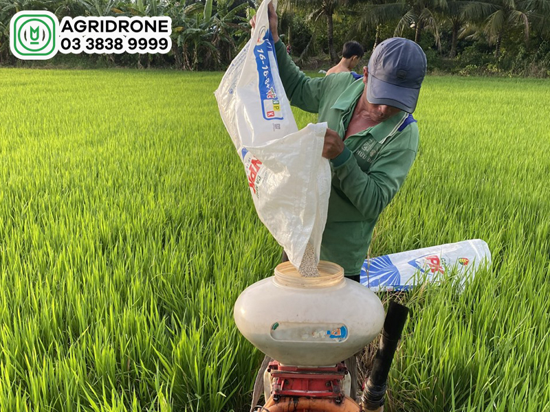 Vì sao bón phân nhiều cây sẽ chết?