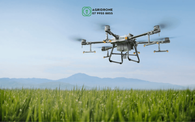 dji t30