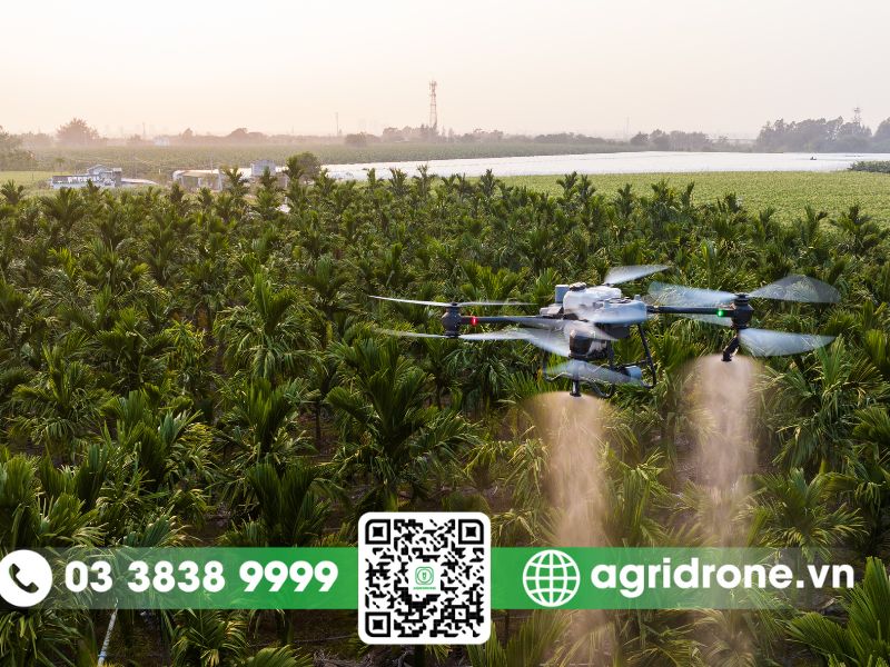 Lợi ích khi sử dụng drone phun thuốc trừ sâu