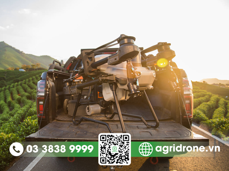 Vì sao cây cao su được trồng nhiều ở Đông Nam Bộ? 3 Cây cao su thích hợp với loại đất nào
