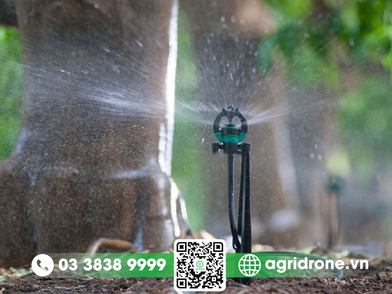 Cách sử dụng béc tưới phun thuốc đúng cách