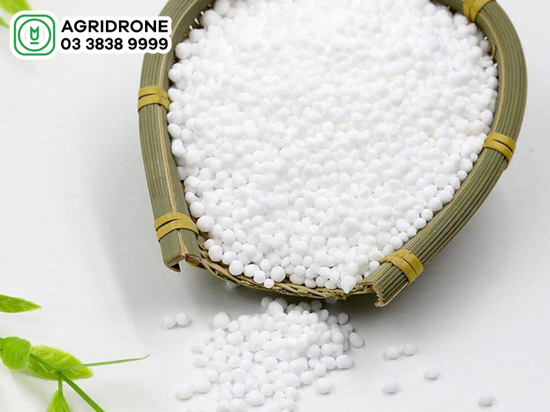 Loại phân bón nào dùng bón thúc chủ yếu?