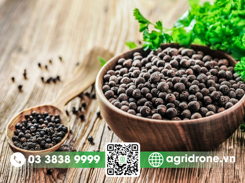 Xuất khẩu hồ tiêu và những kỷ lục mới
