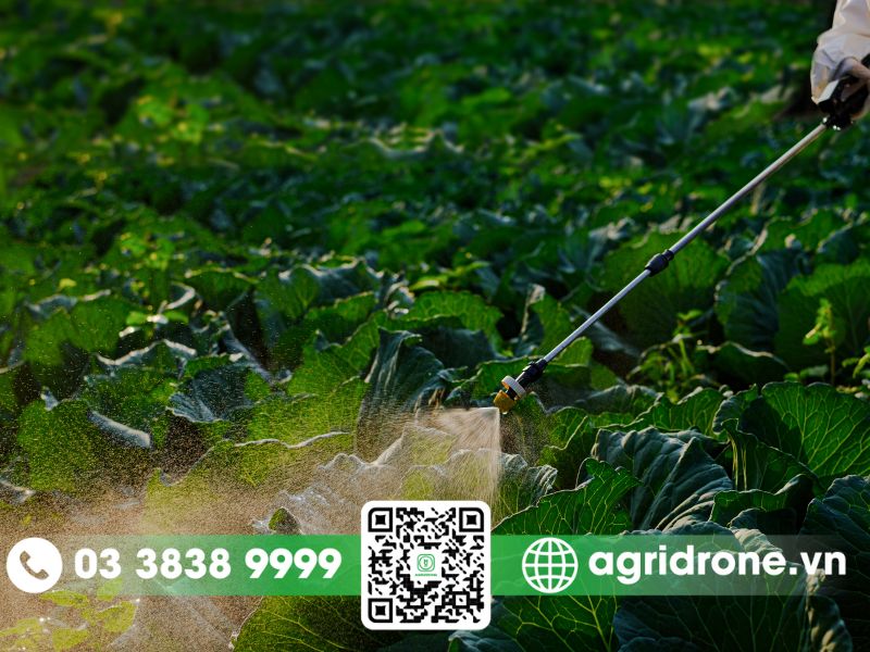 Các phương pháp phun thuốc trừ sâu cho cây rau an toàn 1 Cần chuẩn bị gì trước khi phun thuốc cho rau?