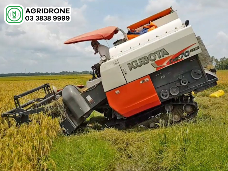 thong so ky thuat may gat Kubota DC70 1