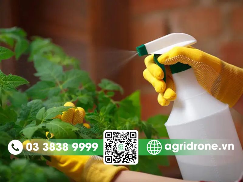 Vì sao nên dùng thuốc trừ sâu sinh học tự chế?