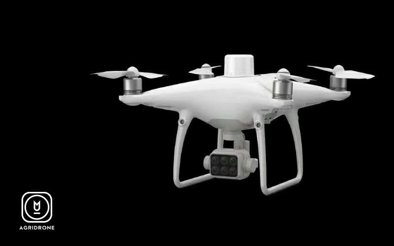 Ứng dụng máy bay không người lái trong sản xuất nông nghiệp 3 Khao-sat-suc-khoe-cay-trong-su-dung-The-P4-Multispectral