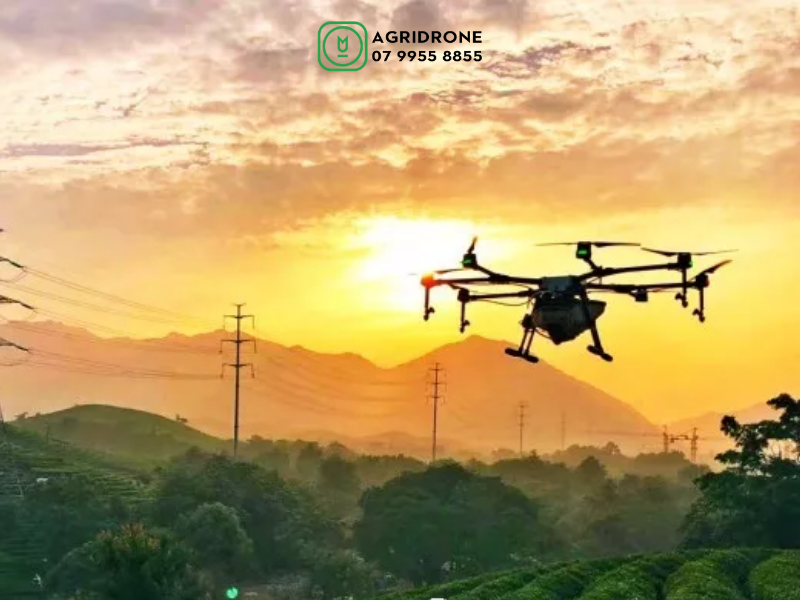 Tại sao việc thúc đẩy máy bay phun thuốc trong nông nghiệp là tất yếu 2 May-bay-phun-thuoc-nong-nghiep