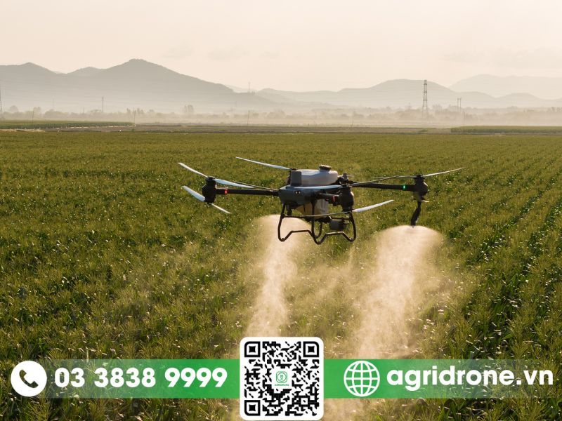 Dịch vụ sửa máy bay phun thuốc DJI T50 uy tín, chất lượng tại AgriDrone