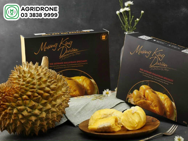 Giá Sầu riêng Musang King hôm nay bao nhiêu?
