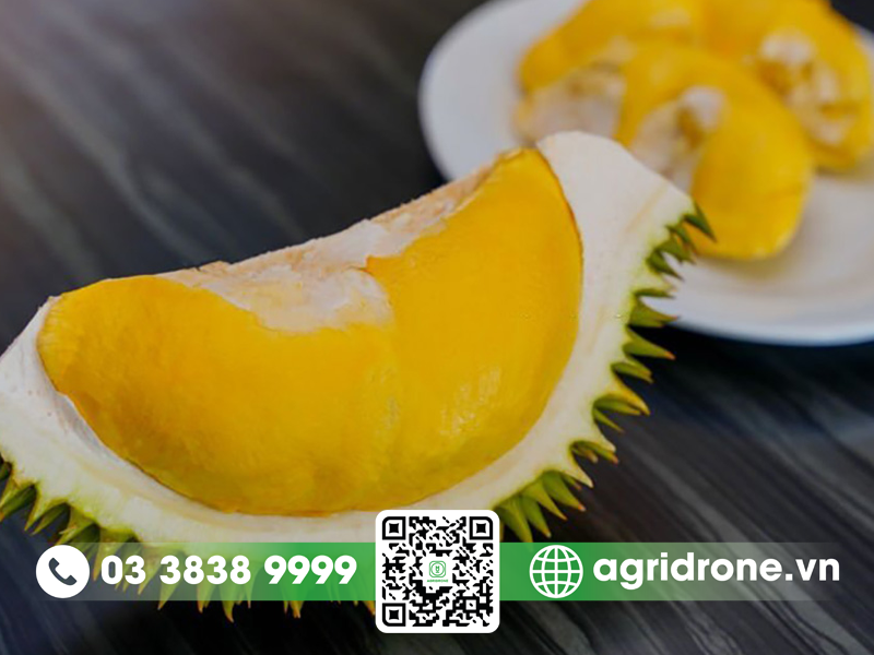 sau rieng 6 huu gia bao nhieu 2