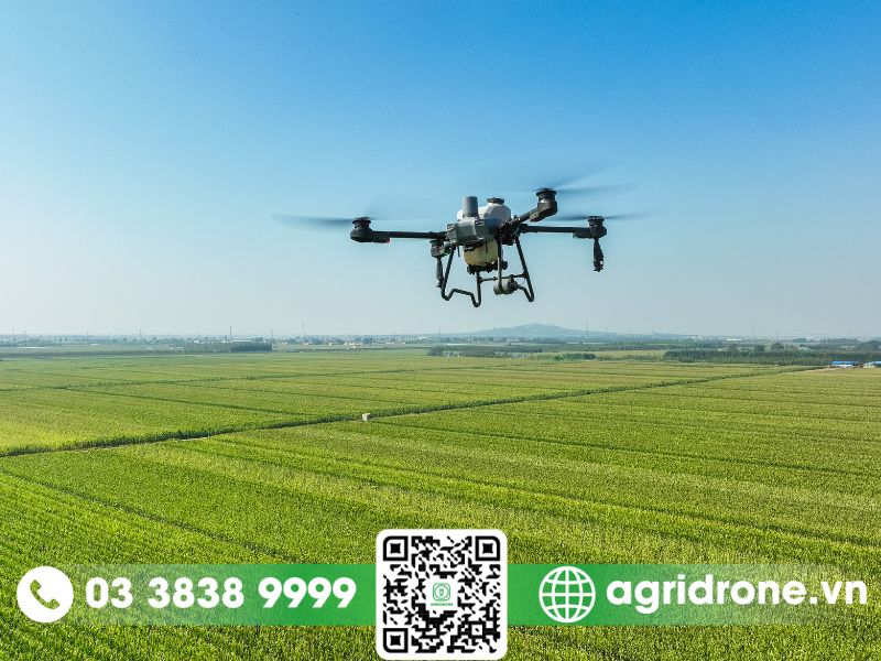 Máy bay nông nghiệp DJI T25 và DJI T30: Bà con nên chọn loại nào?