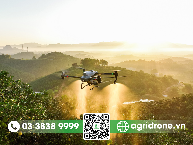 dji t40