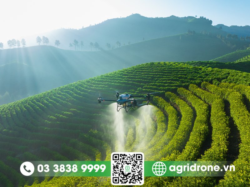 yếu tố môi trường ảnh hưởng đến hiệu quả phun thuốc của máy bay