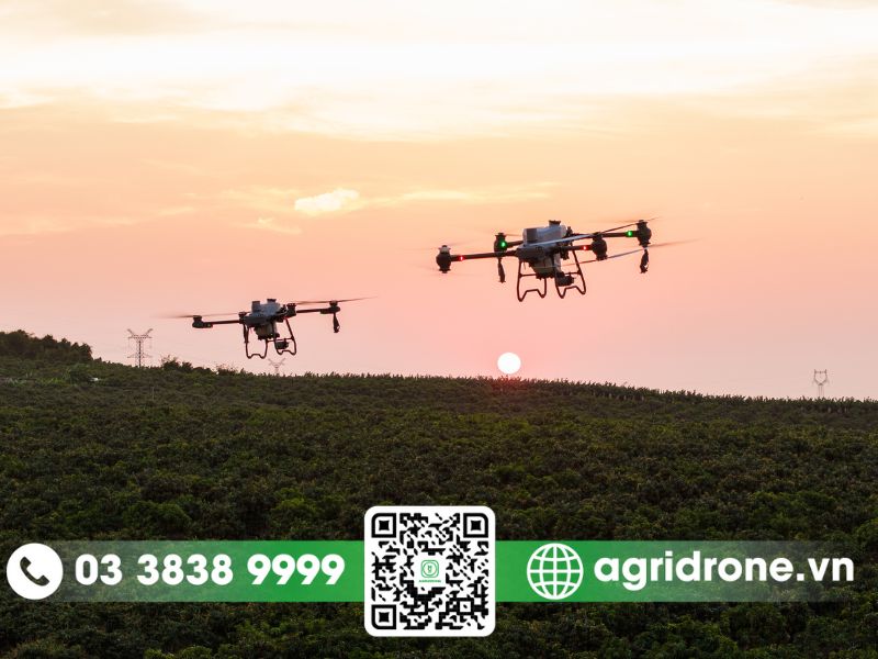 Máy bay phun thuốc cho cây Cam, Quýt giúp phòng trừ sâu bệnh 2 Máy bay phun thuốc cho cây cam giúp hạn chế sâu bệnh và tăng chất lượng quả