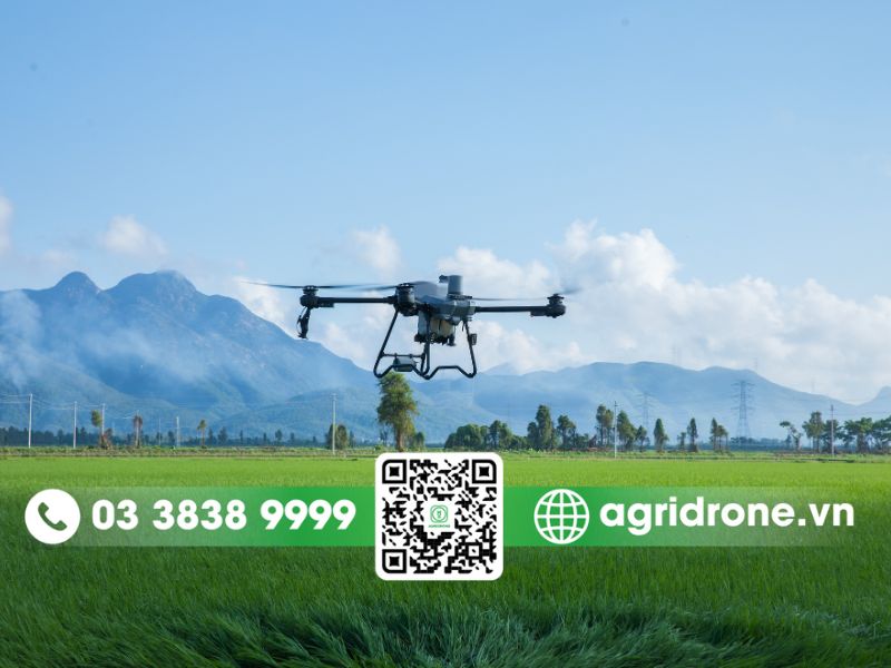 Có nên đầu tư máy bay xịt thuốc DJI T70P để canh tác nông nghiệp 